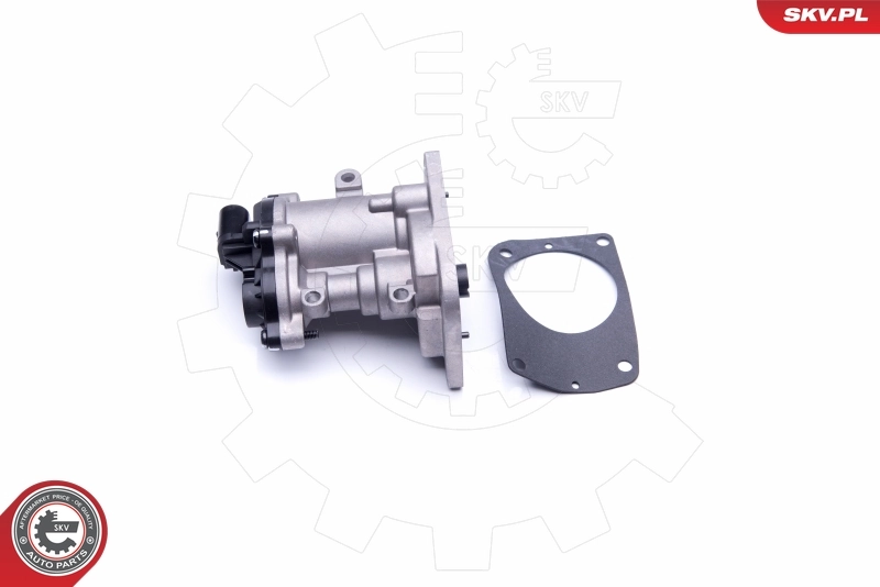 EGR Valve